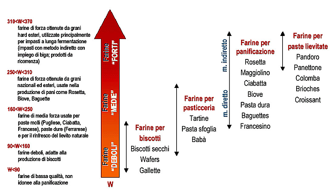 IMPARIAMO AD USARE IN MODO CORRETTO LE FARINE….